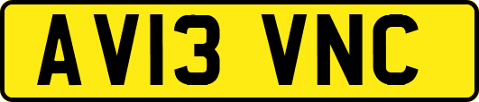 AV13VNC