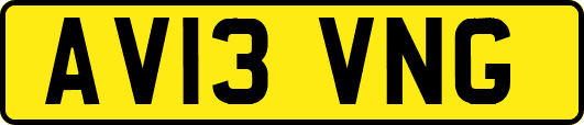 AV13VNG