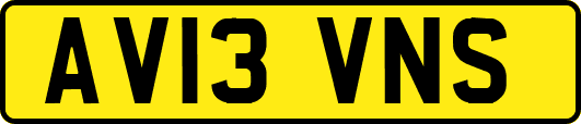 AV13VNS