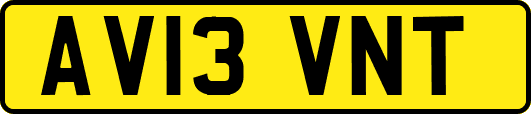 AV13VNT