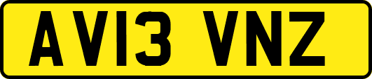 AV13VNZ