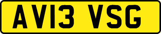 AV13VSG