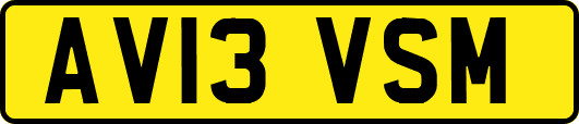 AV13VSM