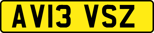 AV13VSZ