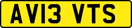 AV13VTS