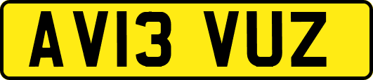 AV13VUZ