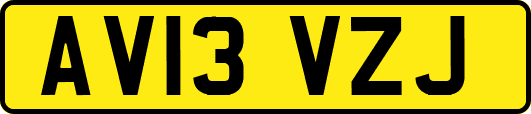 AV13VZJ