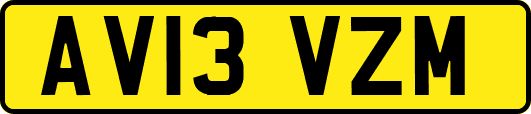 AV13VZM