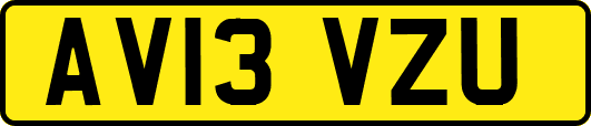 AV13VZU
