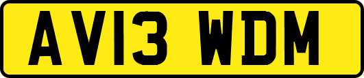 AV13WDM