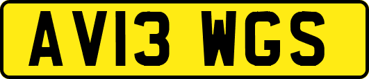 AV13WGS