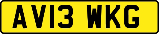 AV13WKG