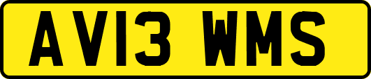 AV13WMS