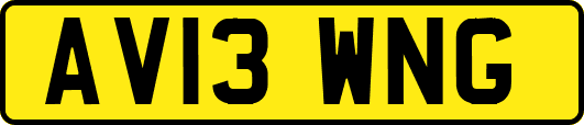 AV13WNG