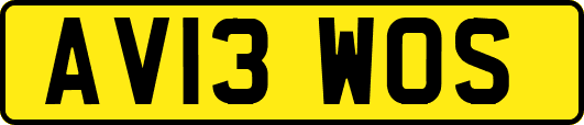 AV13WOS