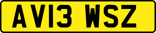 AV13WSZ