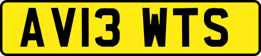AV13WTS
