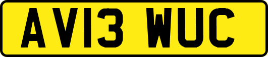 AV13WUC
