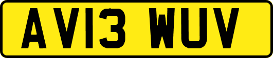 AV13WUV