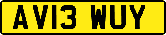 AV13WUY