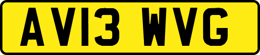 AV13WVG