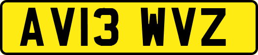 AV13WVZ
