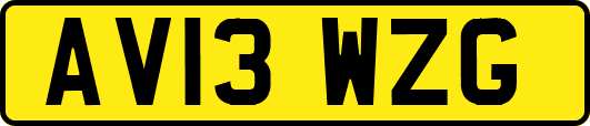 AV13WZG
