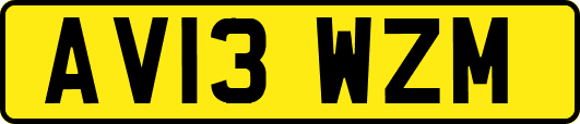 AV13WZM