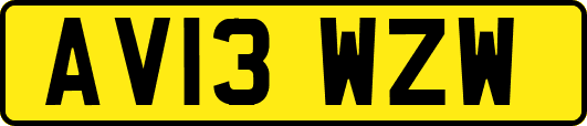 AV13WZW