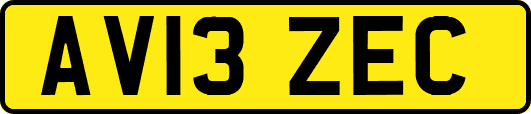 AV13ZEC