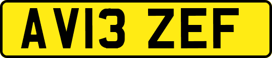 AV13ZEF