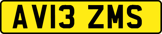 AV13ZMS