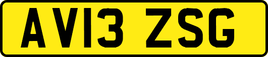 AV13ZSG