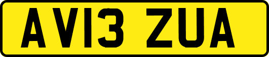AV13ZUA