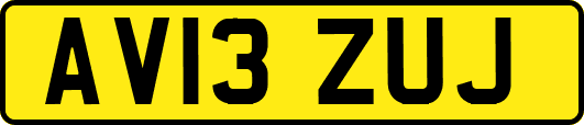 AV13ZUJ
