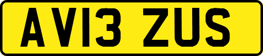 AV13ZUS