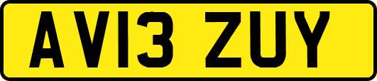 AV13ZUY
