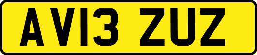 AV13ZUZ