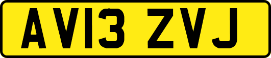 AV13ZVJ