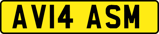 AV14ASM
