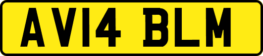 AV14BLM