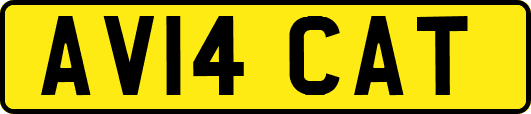 AV14CAT