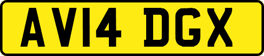 AV14DGX