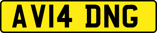 AV14DNG