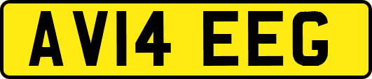 AV14EEG