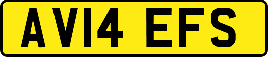 AV14EFS