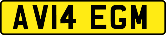 AV14EGM
