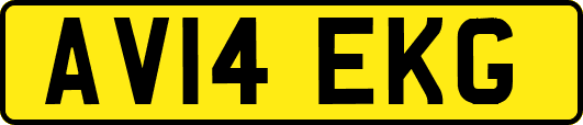 AV14EKG