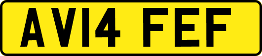 AV14FEF