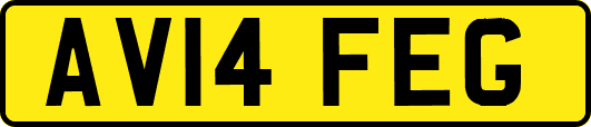 AV14FEG